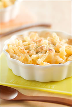 iV[Y  ACfA}bgisNEIWEO[j